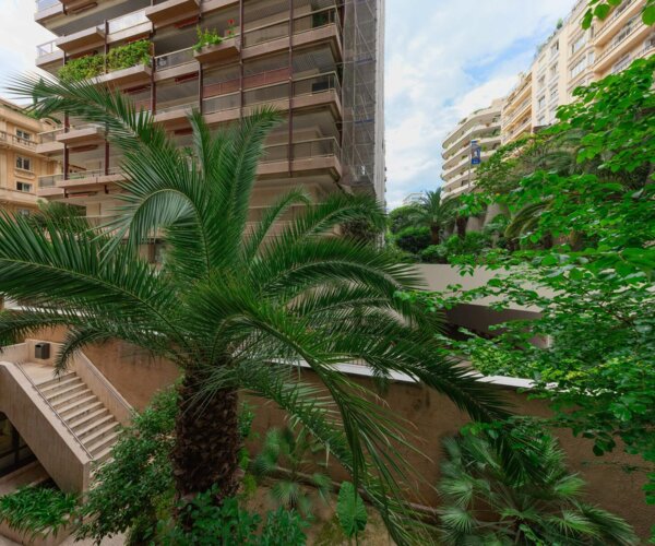 STUDIO CENTRAL MONTAIGNE | 1/3
