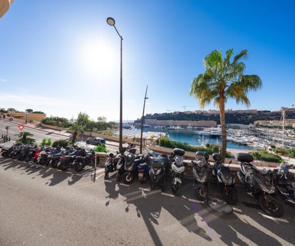 6 ROOMS - VILLA MINERVE | 1/23